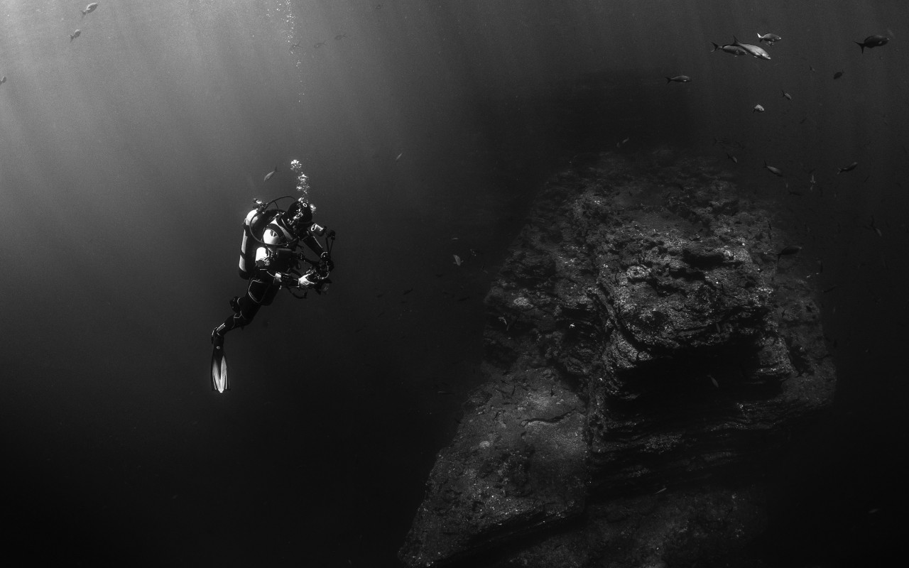 Diver in the Pacific Ocean wallpaper 1280x800