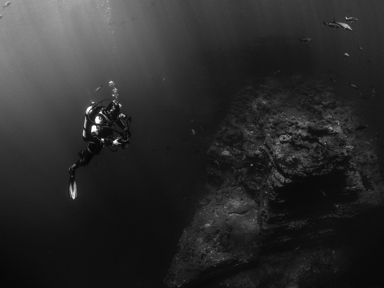 Diver in the Pacific Ocean wallpaper 1280x960