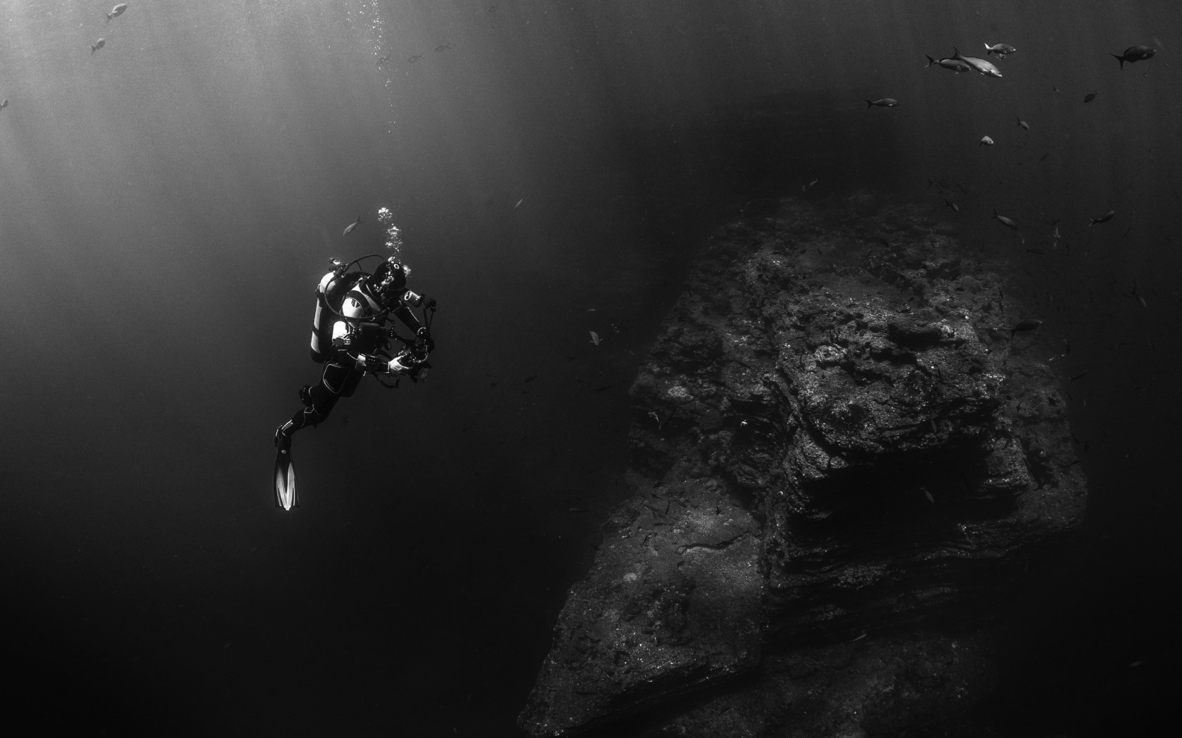 Diver in the Pacific Ocean wallpaper 1680x1050