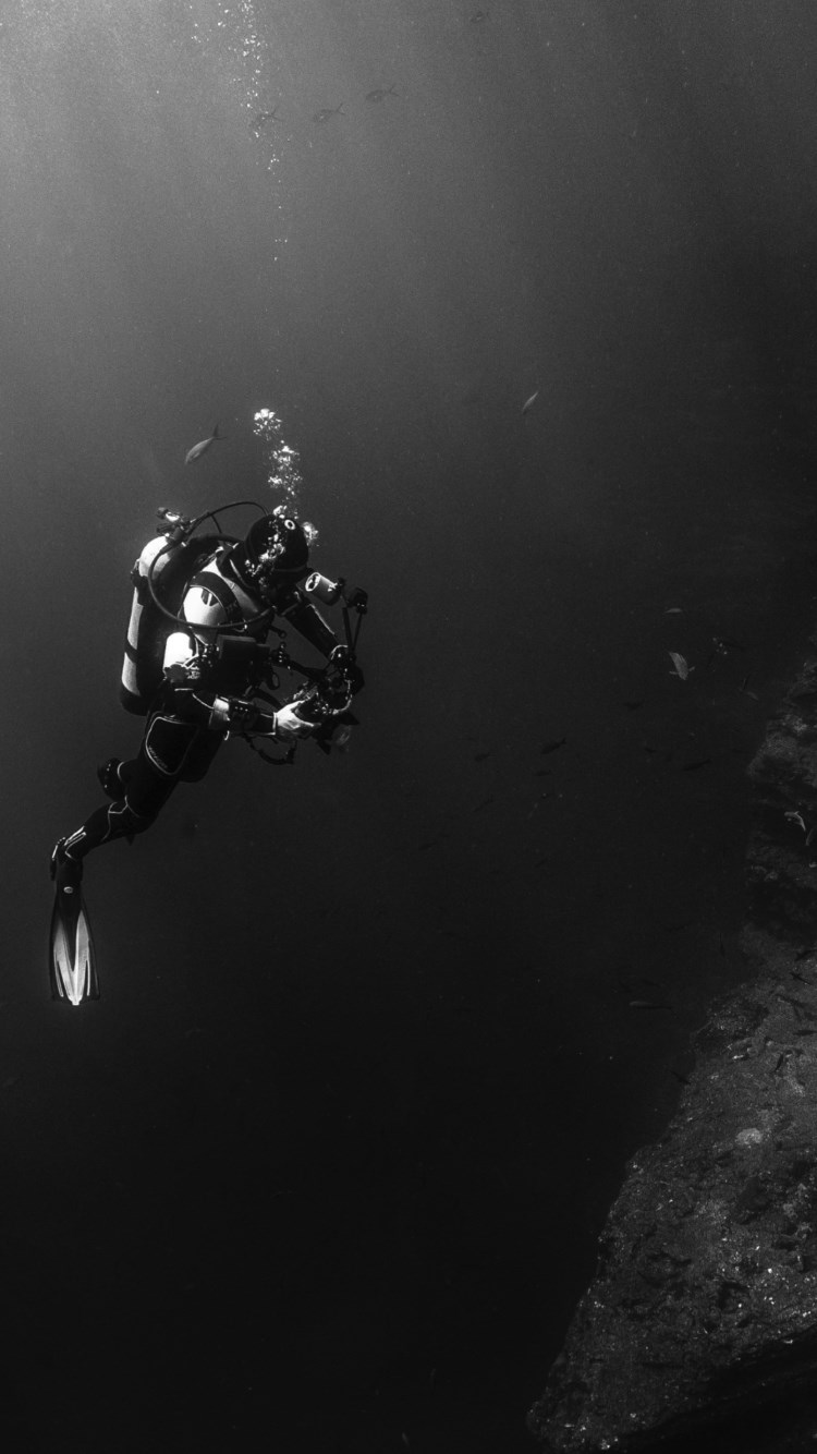 Diver in the Pacific Ocean wallpaper 750x1334