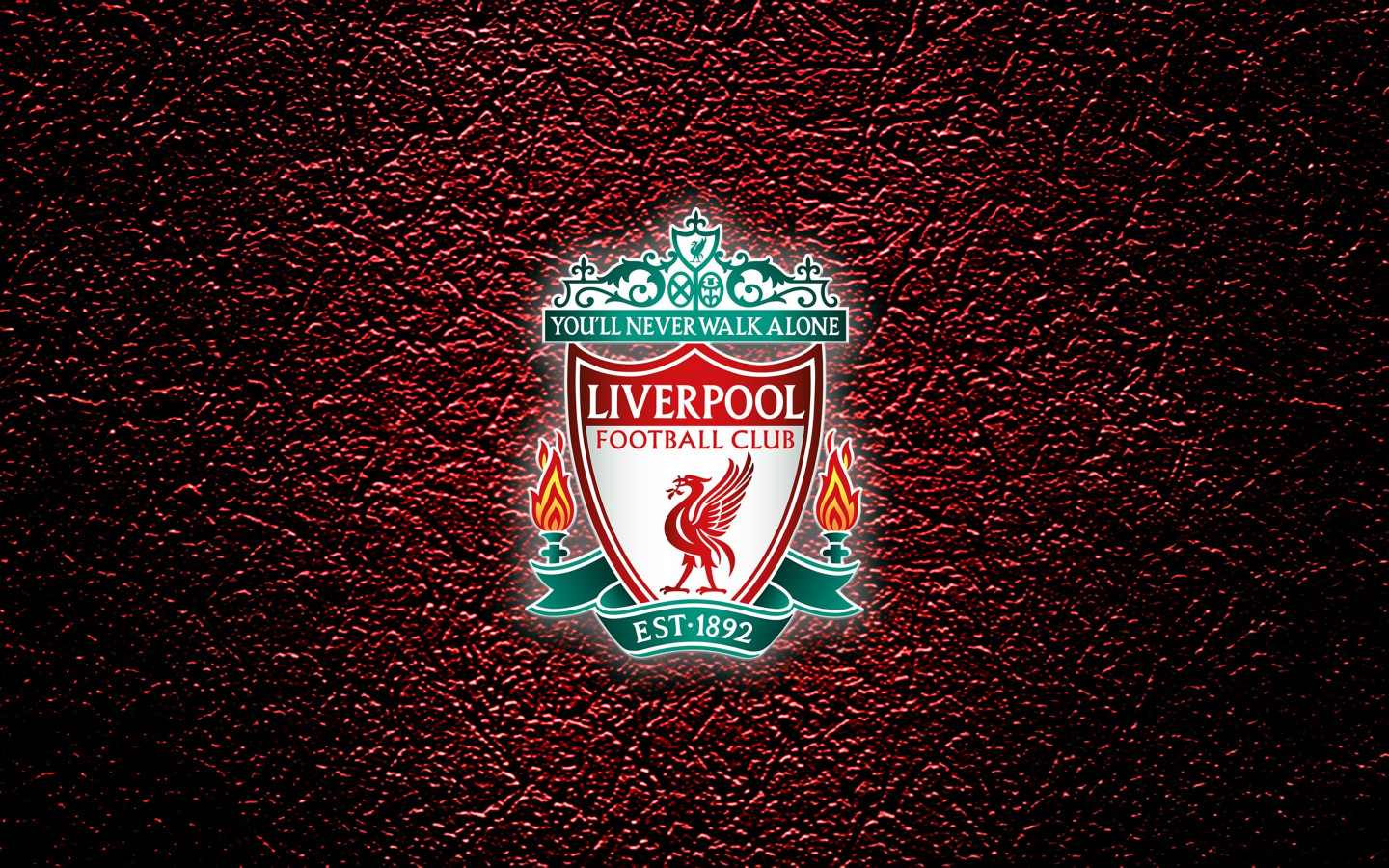 Liverpool - You'll never walk alone wallpaper 1440x900