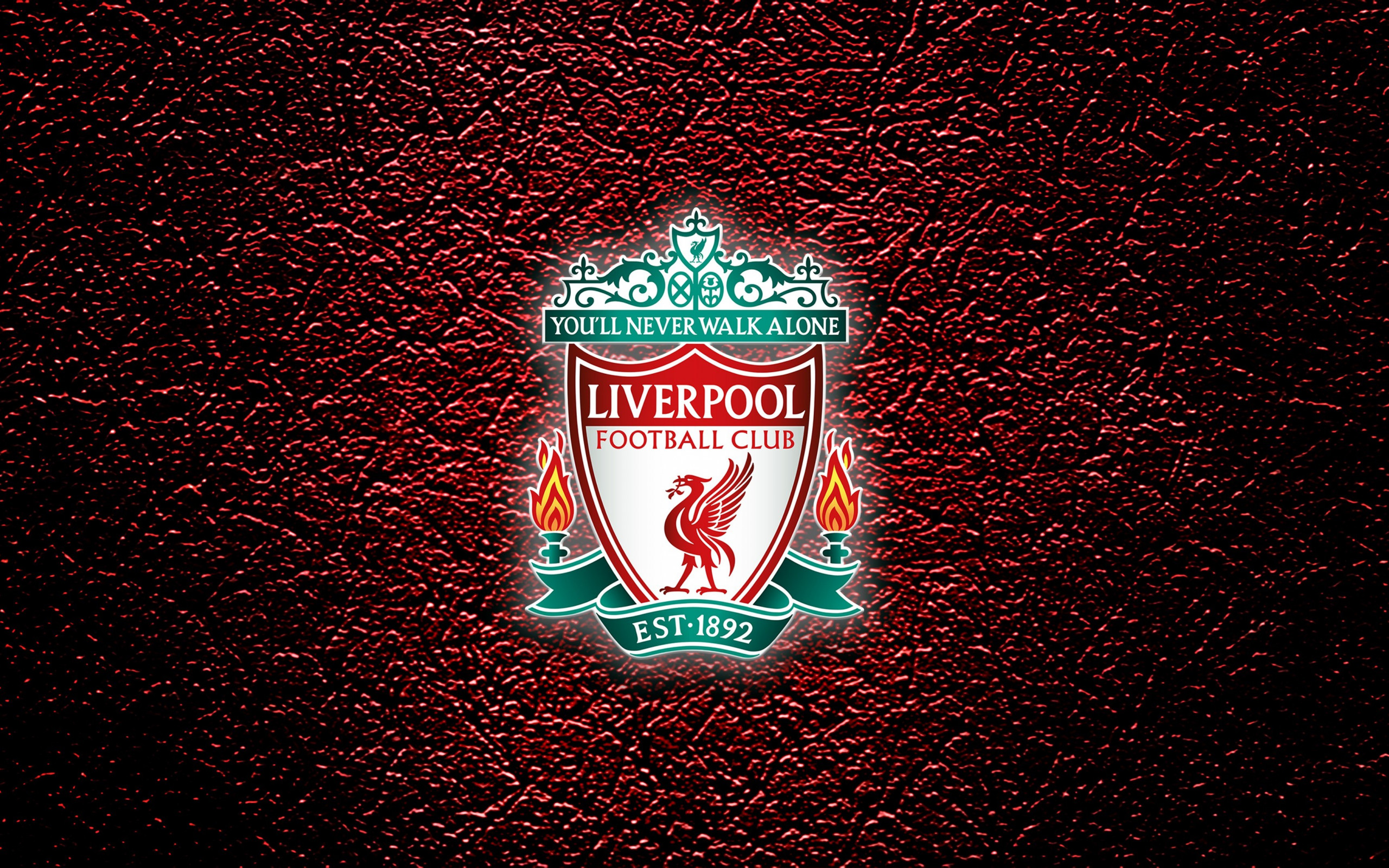 Liverpool - You'll never walk alone wallpaper 2560x1600