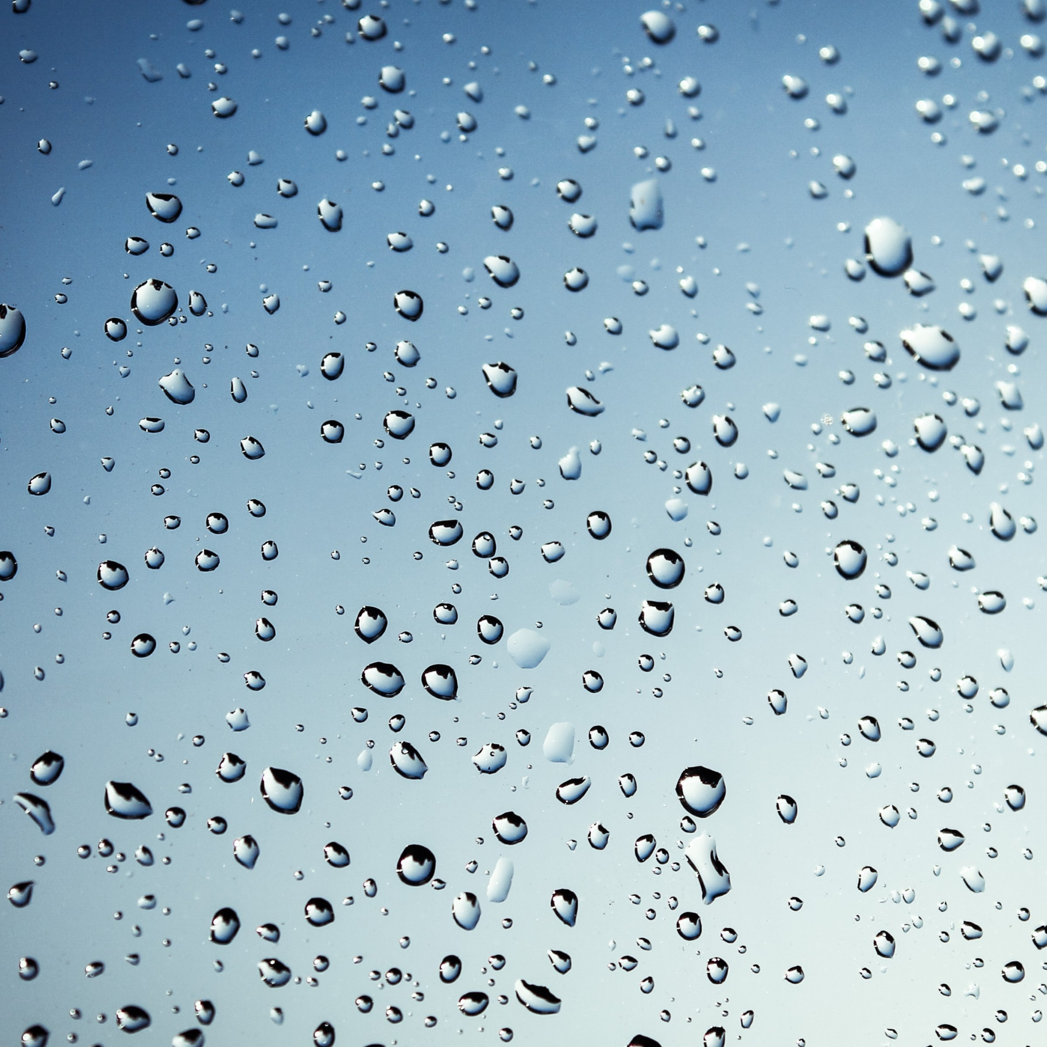Rain drops on window wallpaper 2048x2048