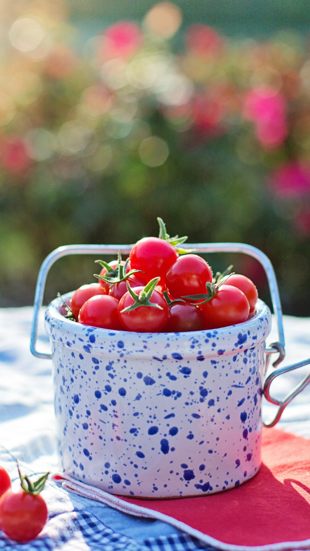 Cherry tomatoes wallpaper 1080x1920