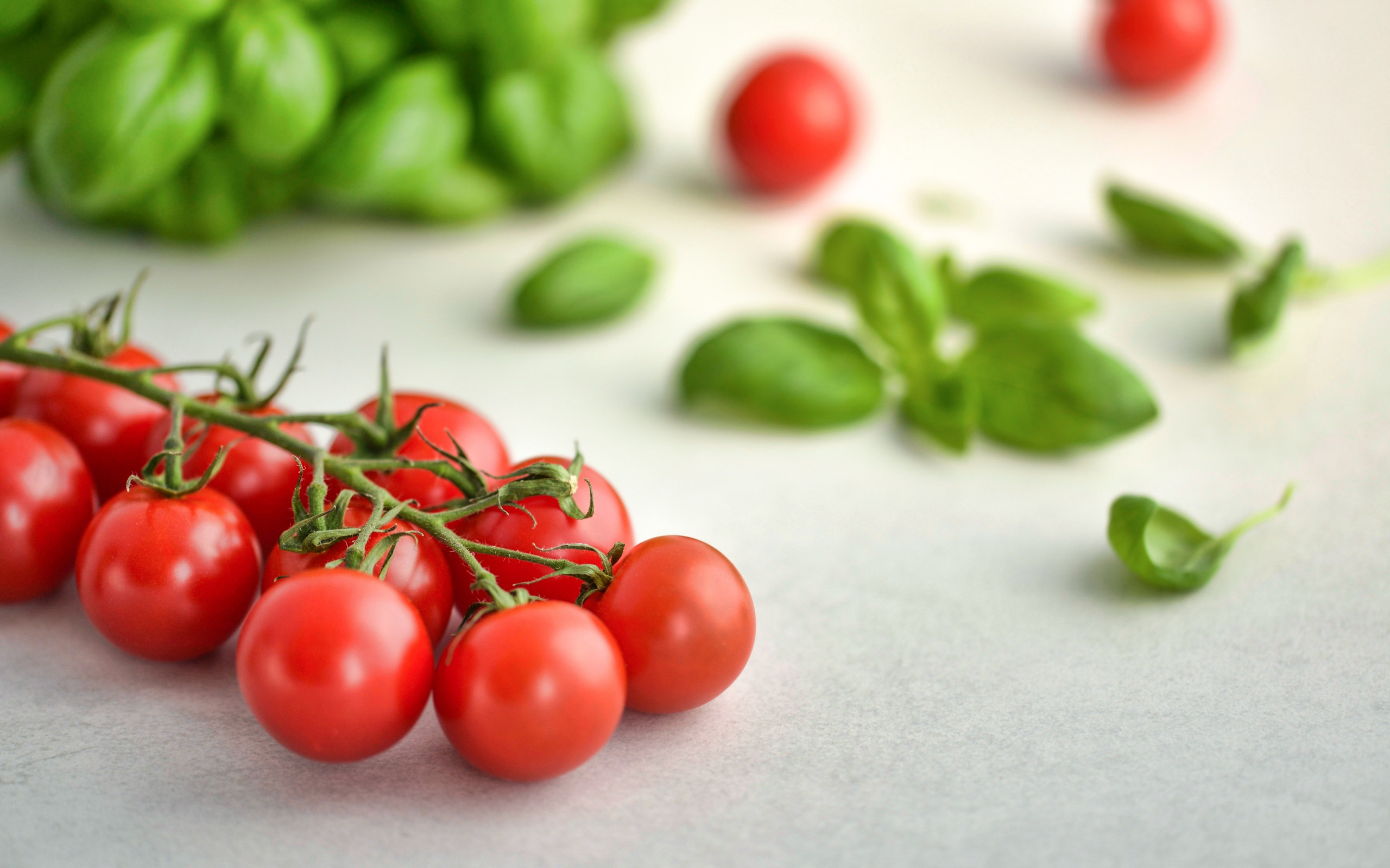 Tomatoes and basil wallpaper 2560x1600