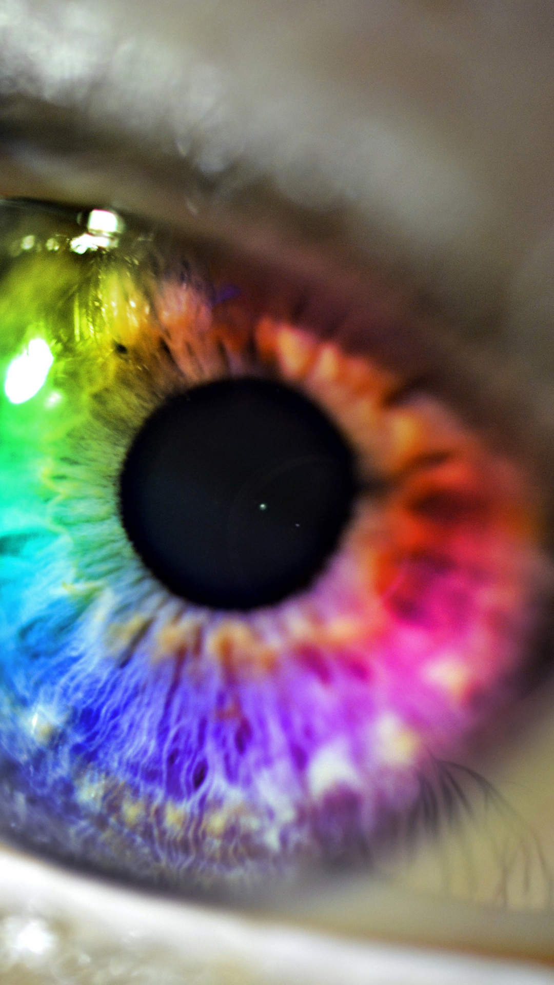 Colors in my eye wallpaper 1080x1920