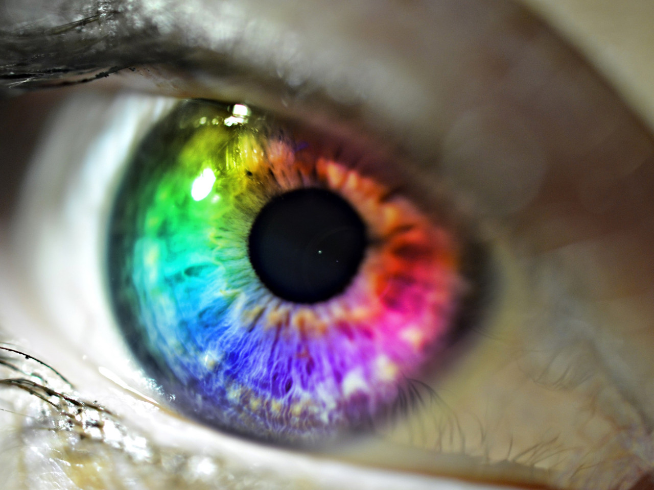 Colors in my eye wallpaper 1280x960