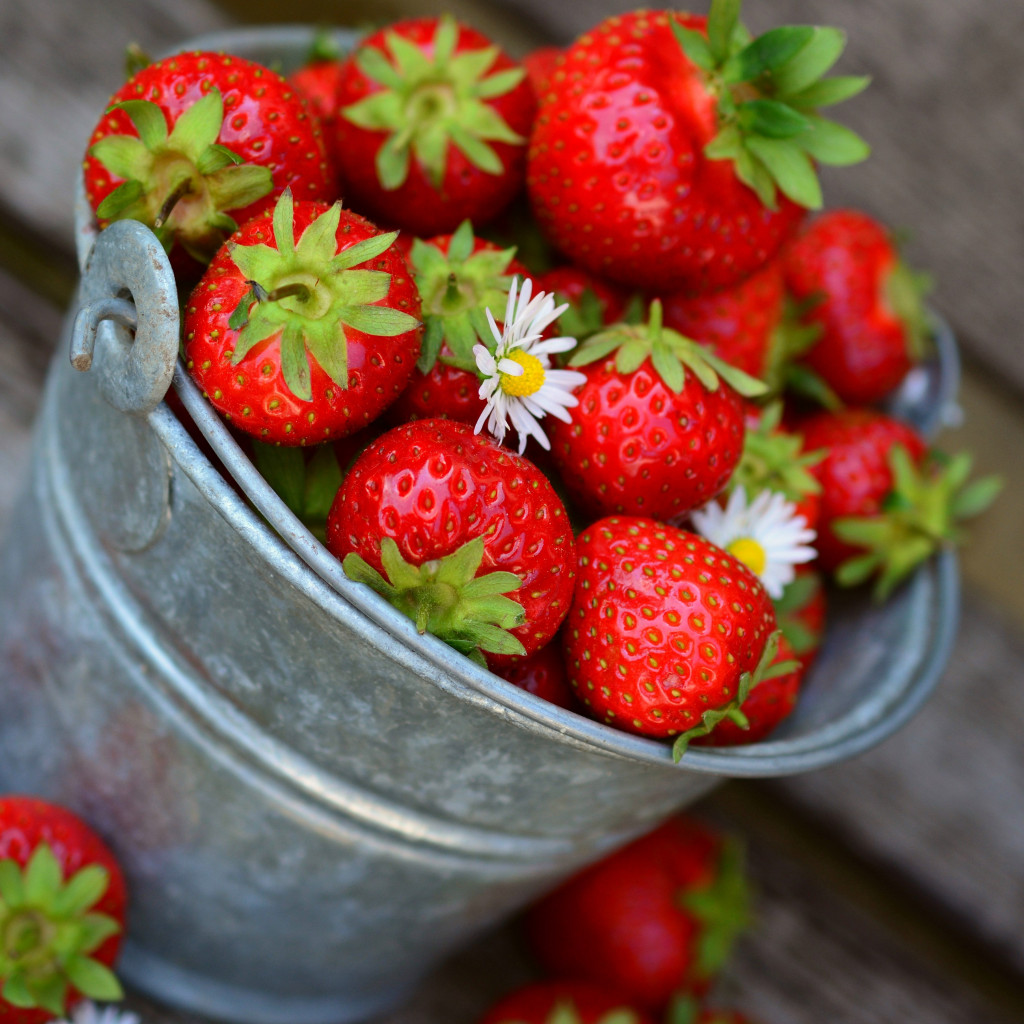 Bucket with strawberries wallpaper 1024x1024