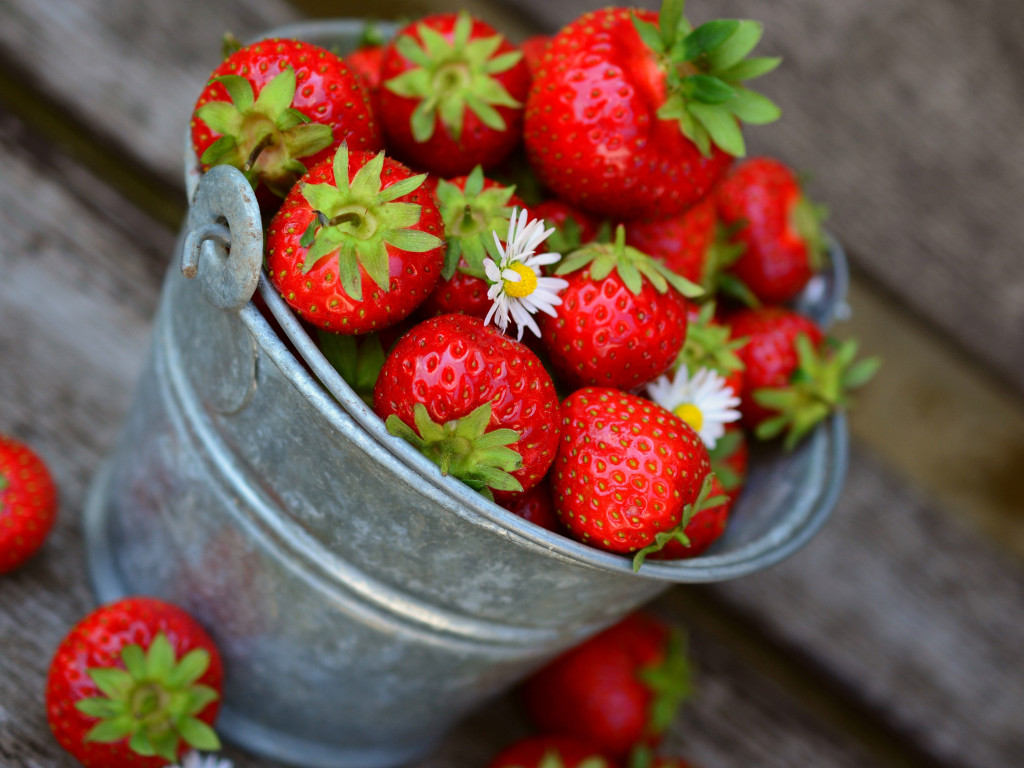 Bucket with strawberries wallpaper 1024x768