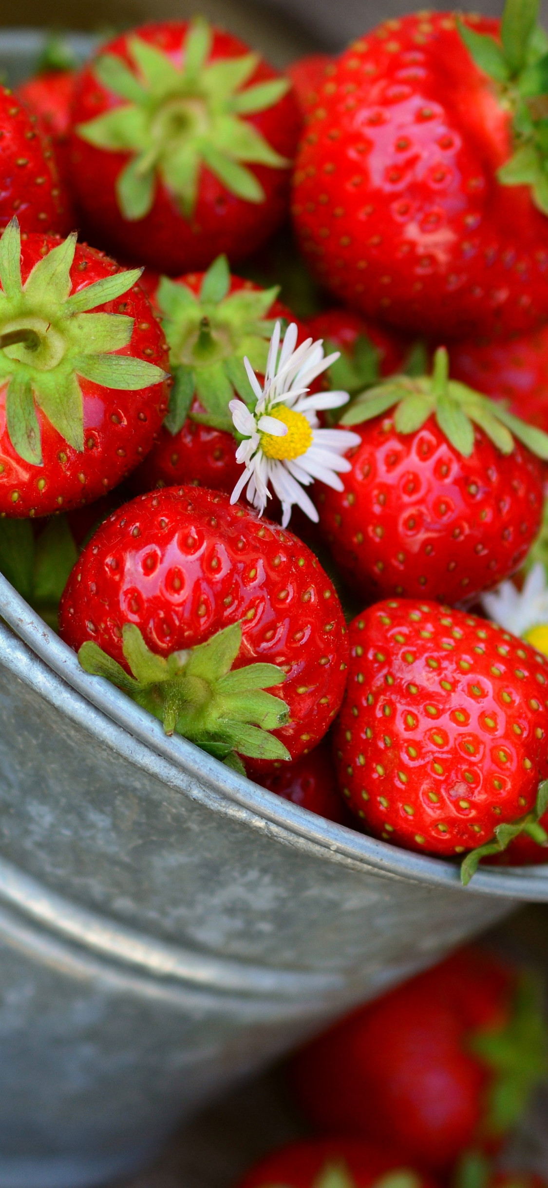 Bucket with strawberries wallpaper 1125x2436