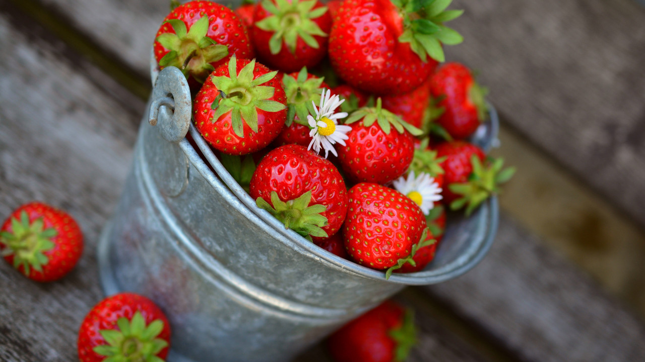 Bucket with strawberries wallpaper 1280x720