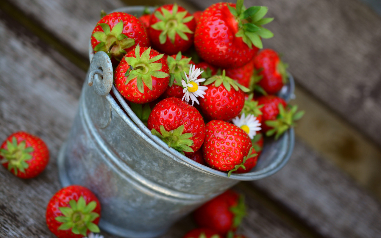 Bucket with strawberries wallpaper 1280x800