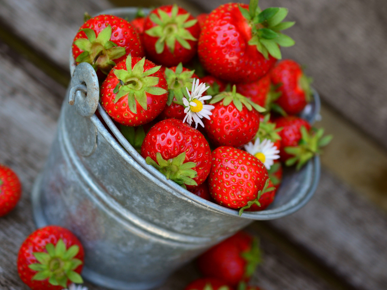 Bucket with strawberries wallpaper 1280x960