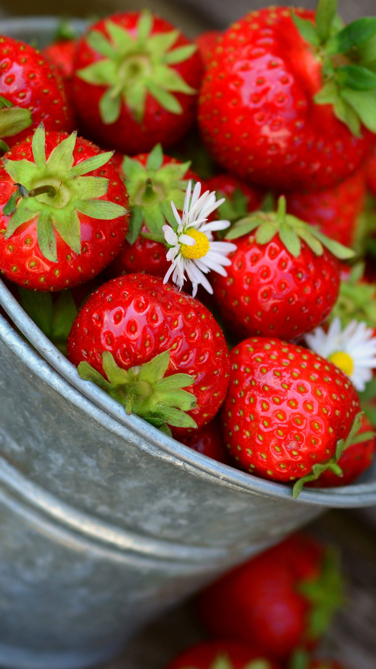Bucket with strawberries wallpaper 1440x2560