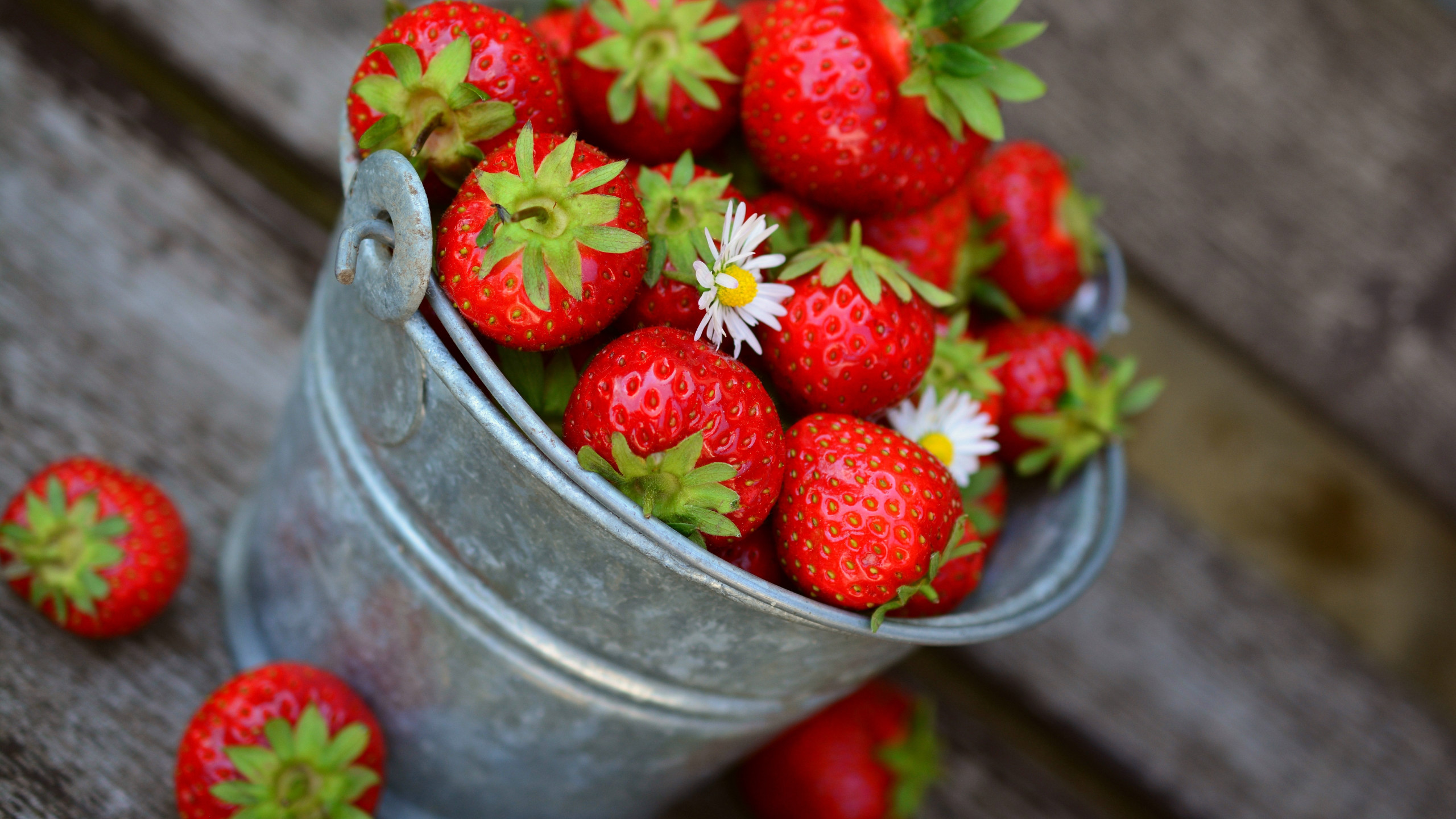 Bucket with strawberries wallpaper 2560x1440