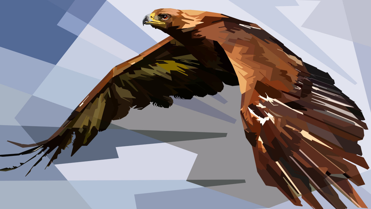 Digital drawing of an eagle wallpaper 1280x720