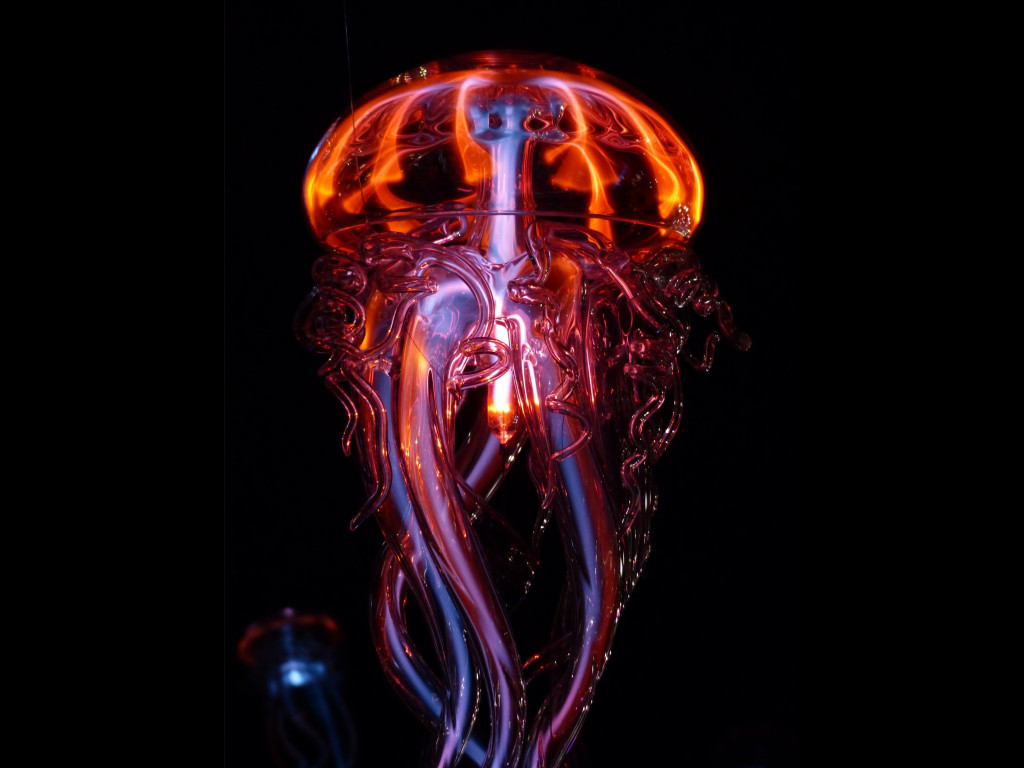Luminous jellyfish wallpaper 1024x768