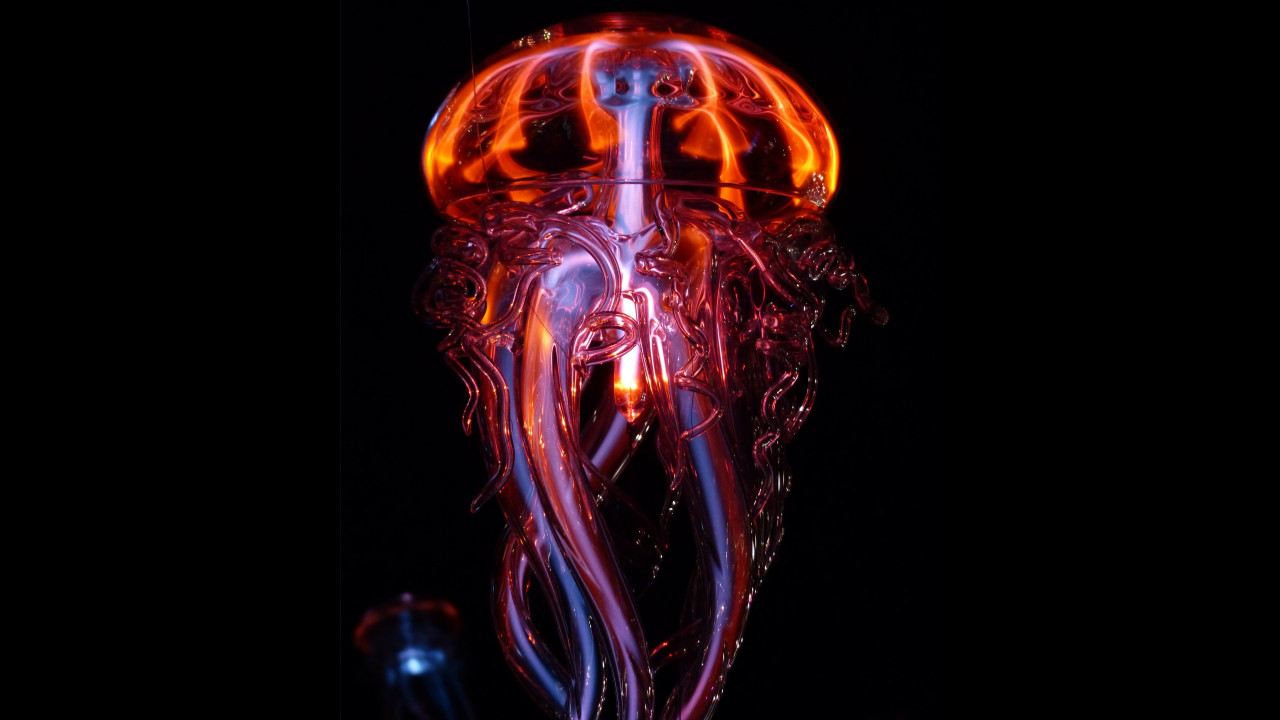 Luminous jellyfish wallpaper 1280x720