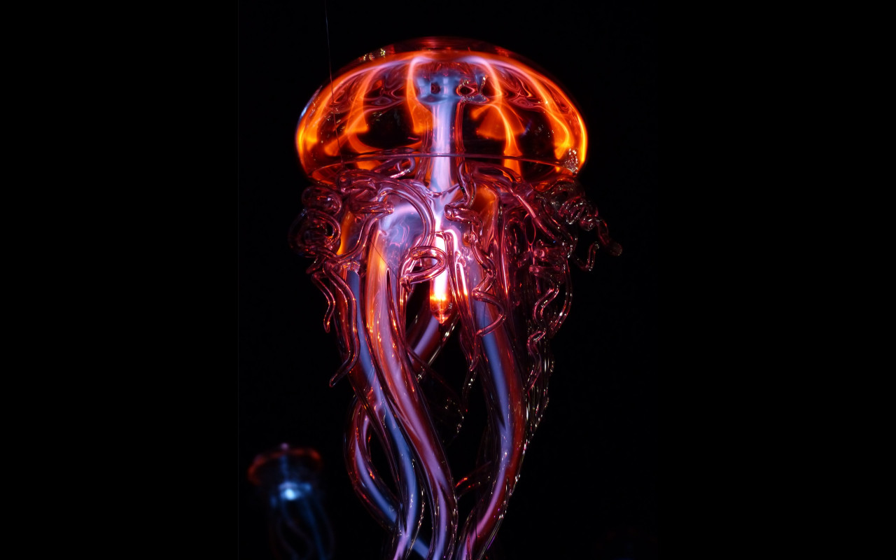 Luminous jellyfish wallpaper 1280x800