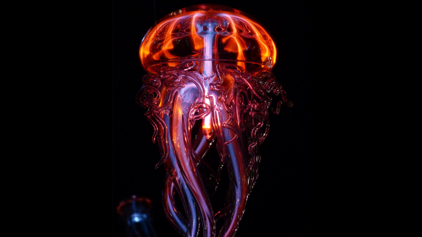Luminous jellyfish wallpaper 1366x768