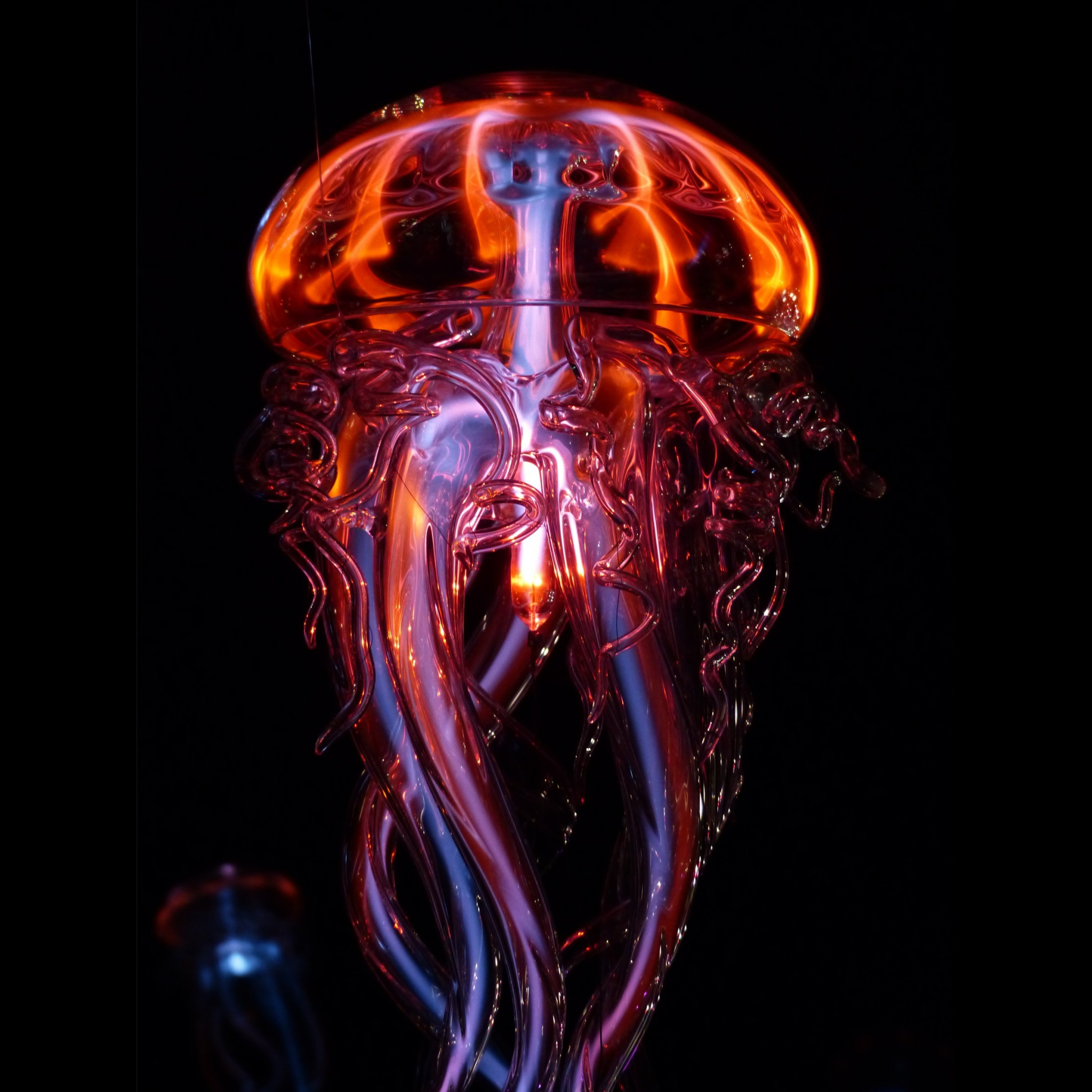 Luminous jellyfish wallpaper 2048x2048