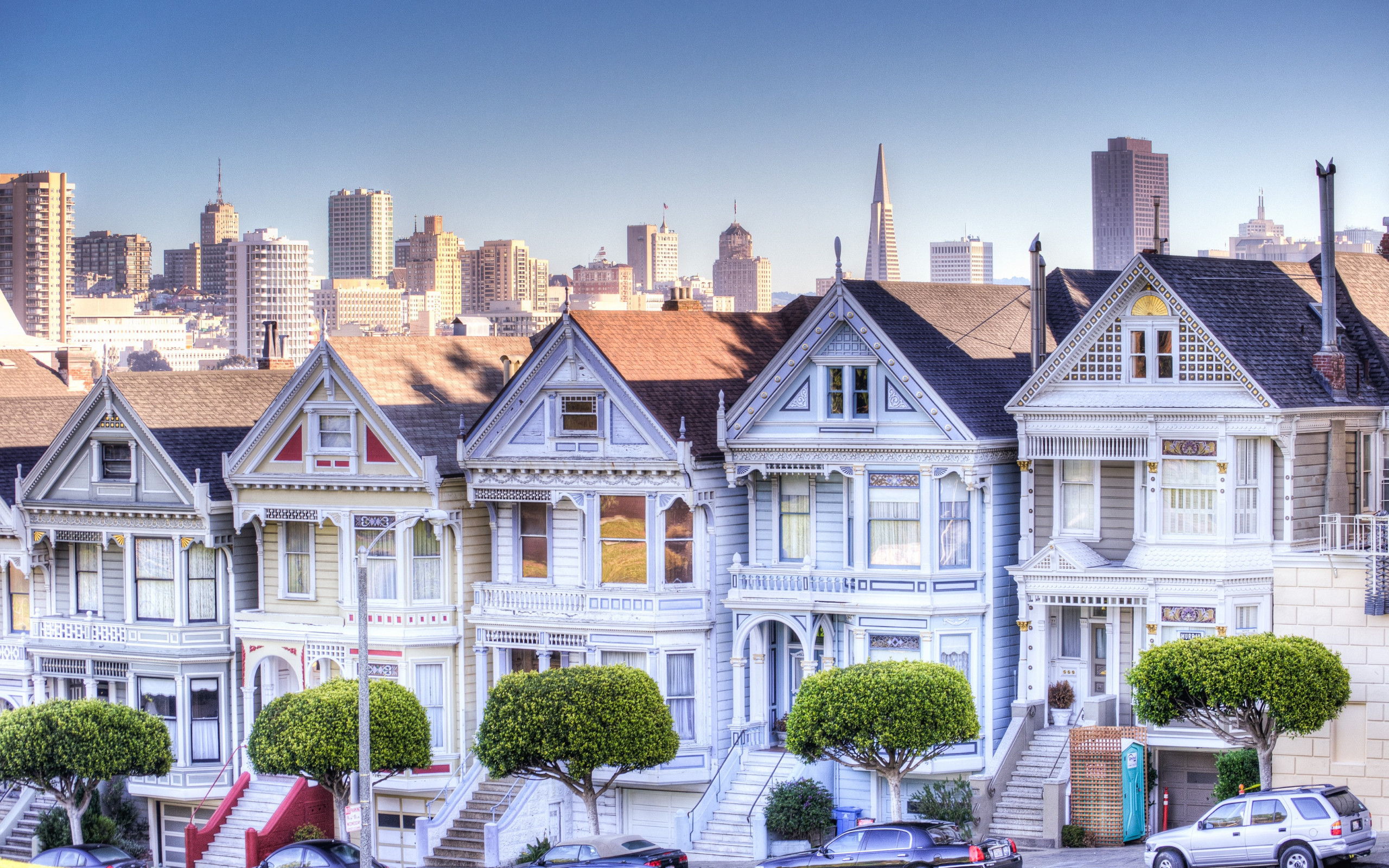 Painted Ladies wallpaper 2560x1600