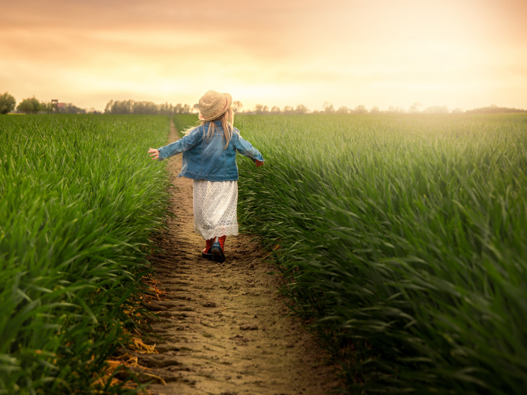 Child in the green field at sunset wallpaper 1024x768