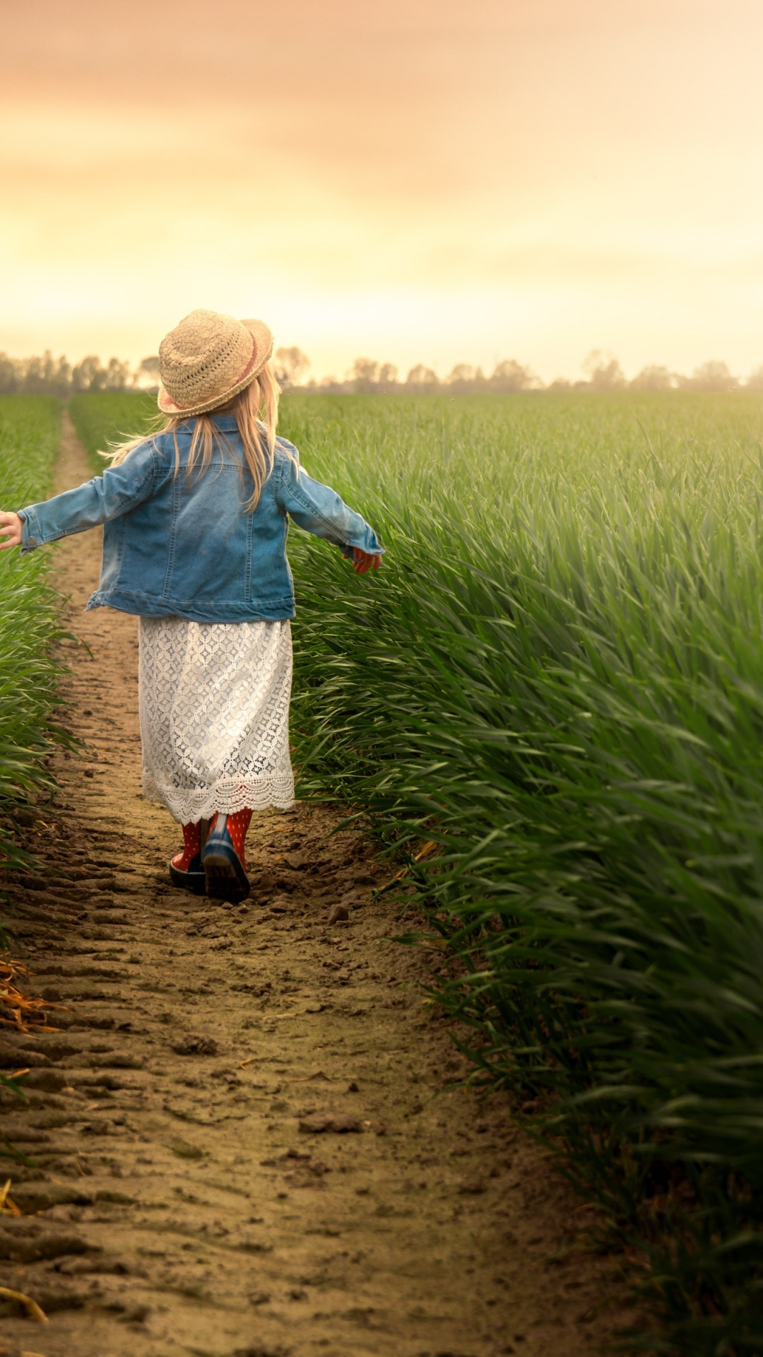Child in the green field at sunset wallpaper 1080x1920