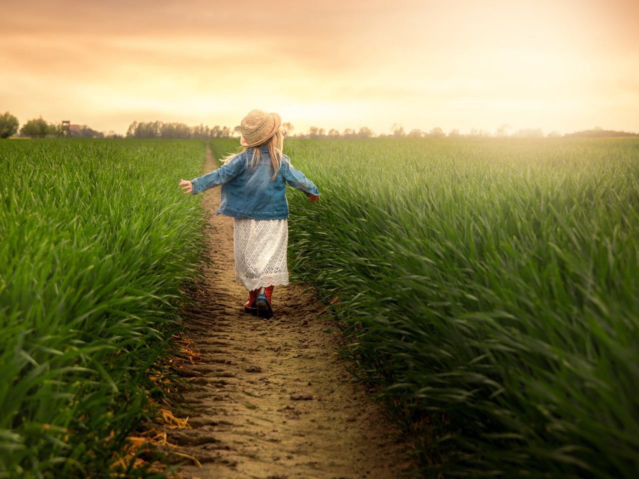 Child in the green field at sunset wallpaper 1280x960