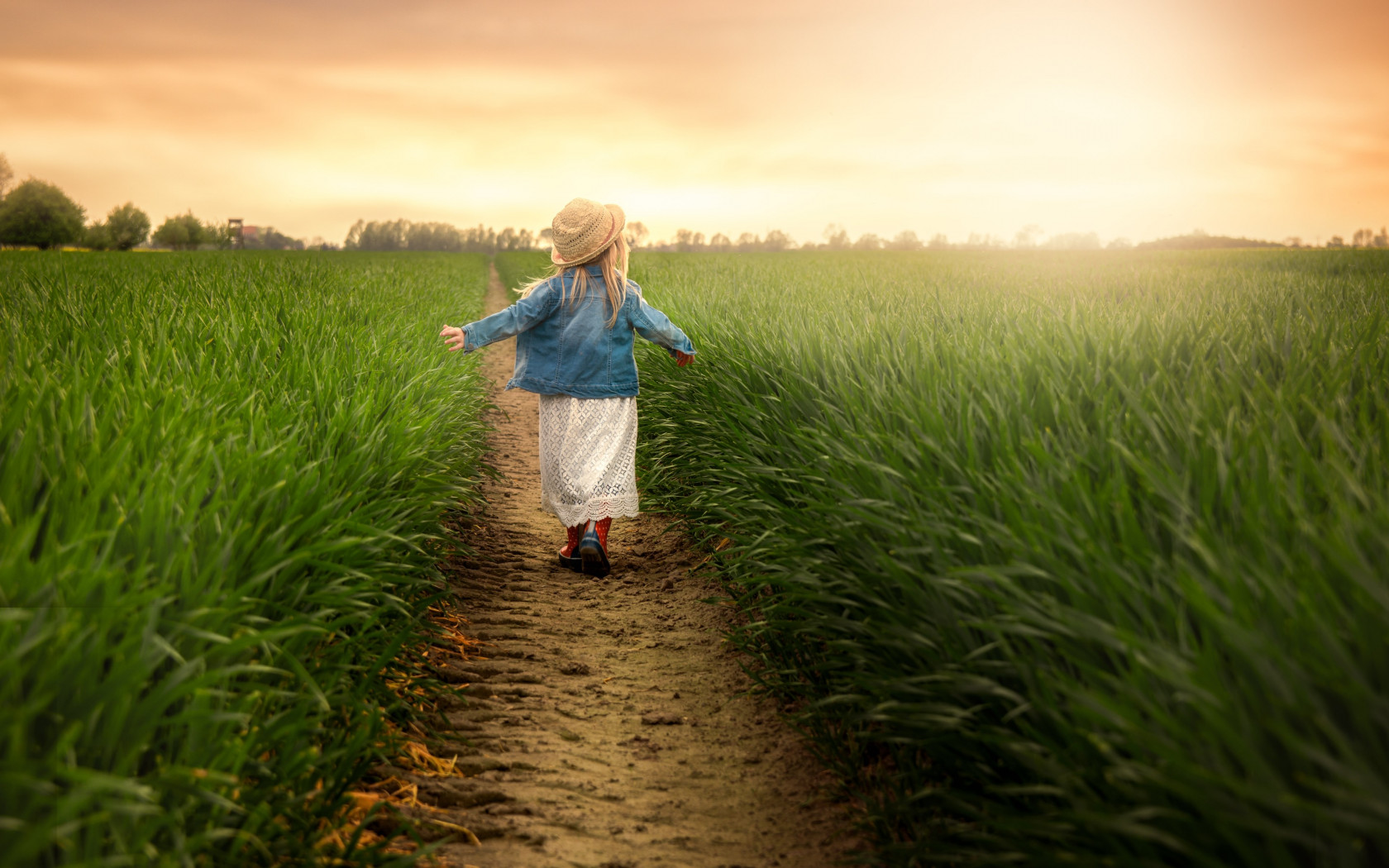 Child in the green field at sunset wallpaper 1680x1050