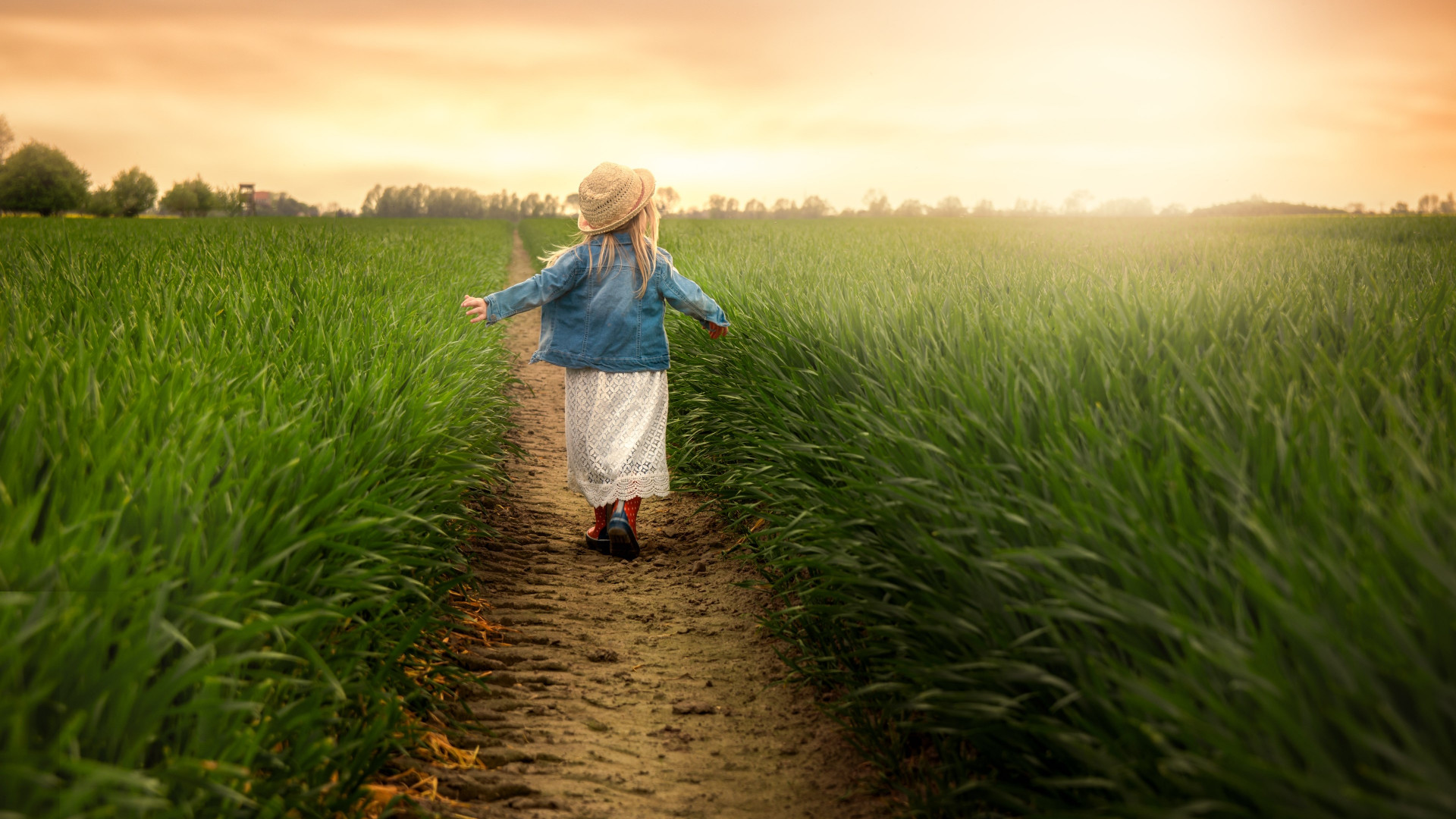 Child in the green field at sunset wallpaper 1920x1080