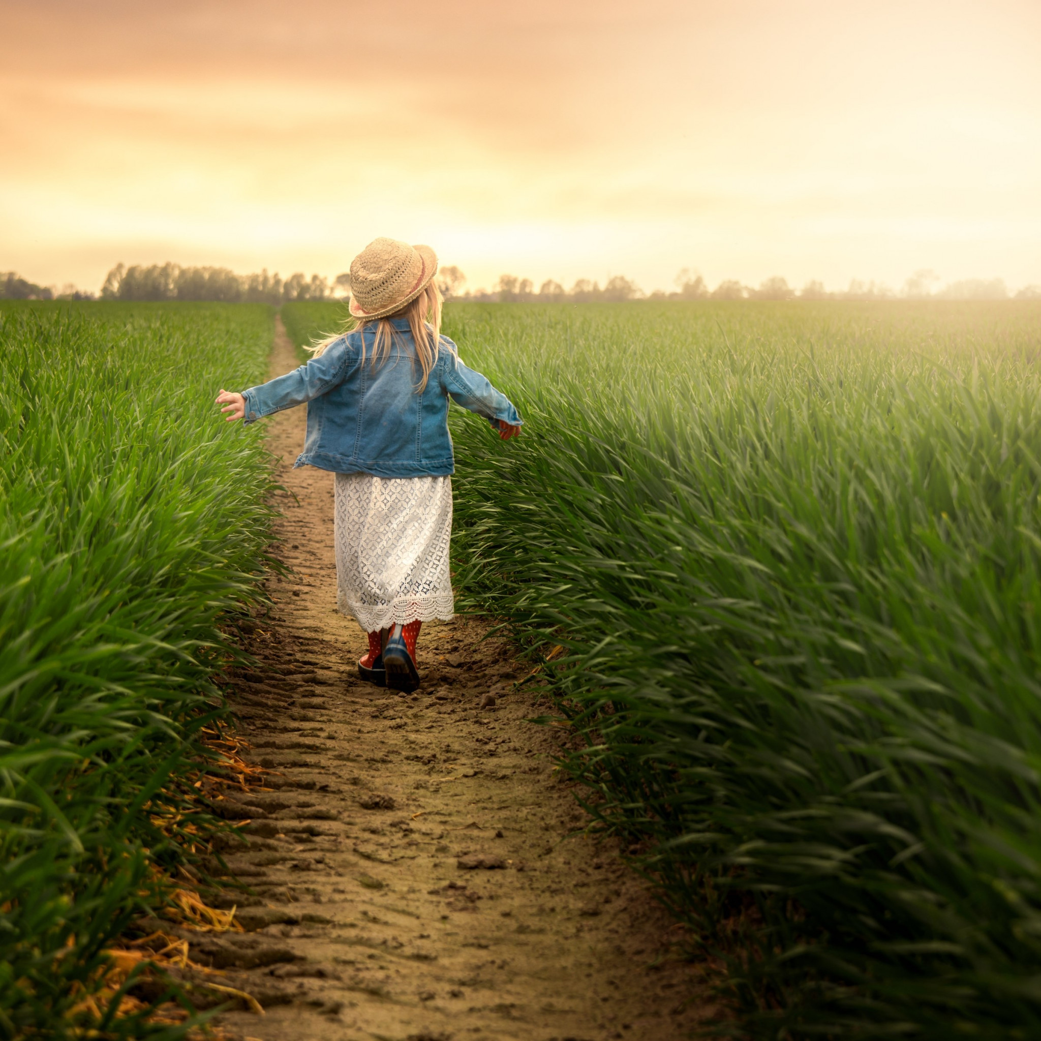 Child in the green field at sunset wallpaper 2048x2048