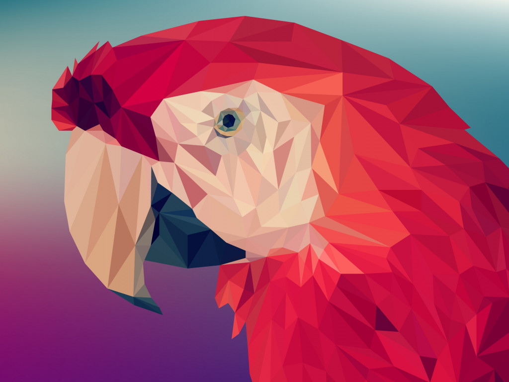 Low poly art: Red parrot wallpaper 1024x768