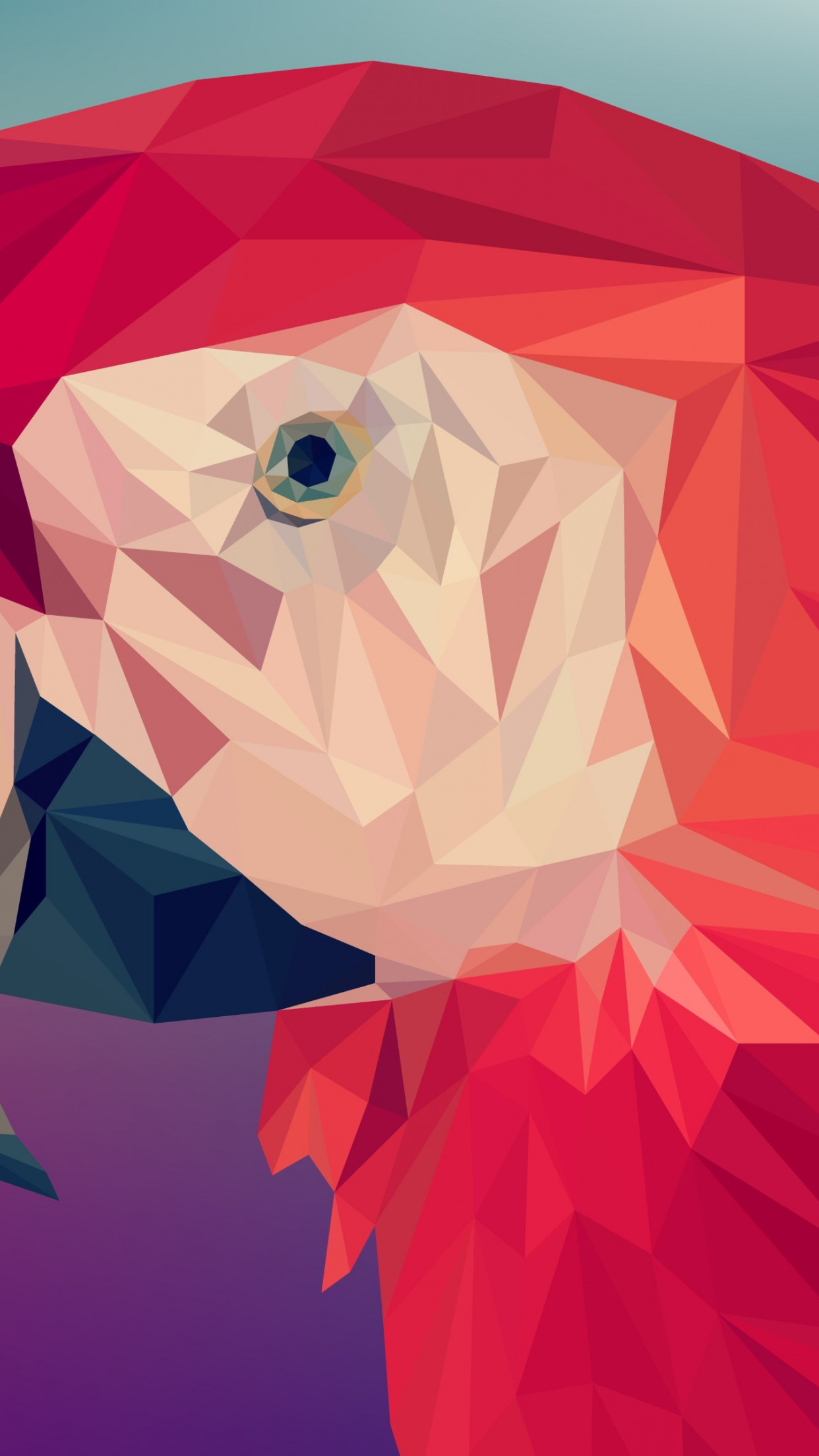 Low poly art: Red parrot wallpaper 1242x2208