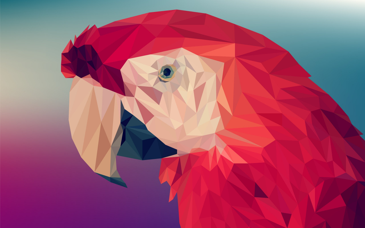 Low poly art: Red parrot wallpaper 1280x800