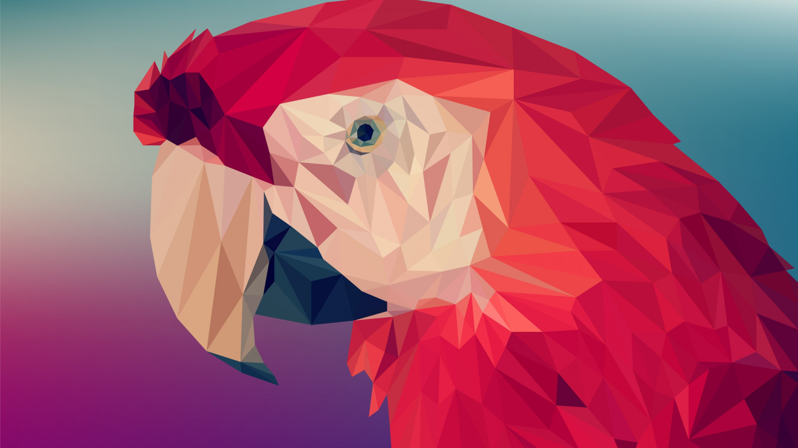 Low poly art: Red parrot wallpaper 1600x900