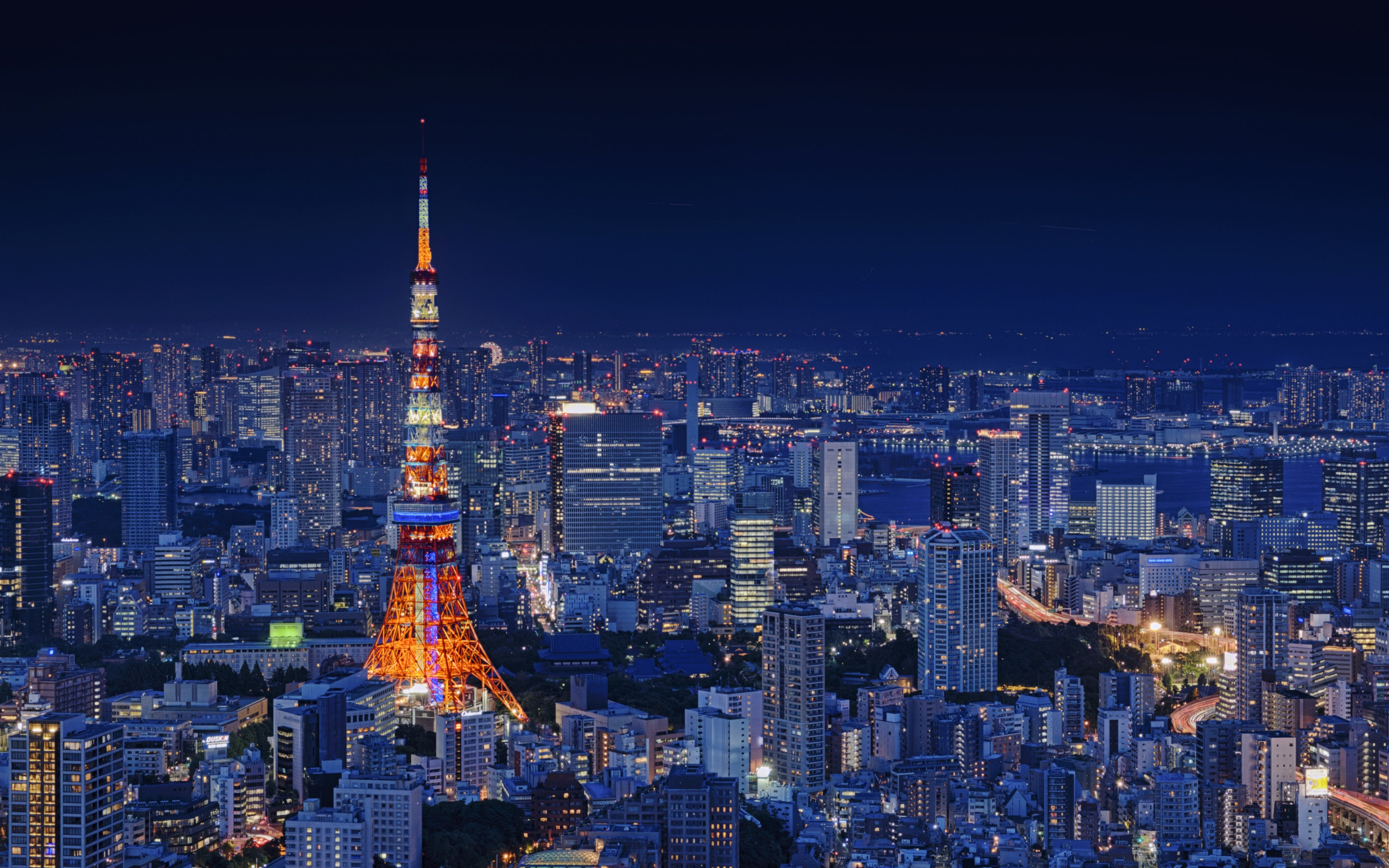 Tokyo Tower wallpaper 2560x1600