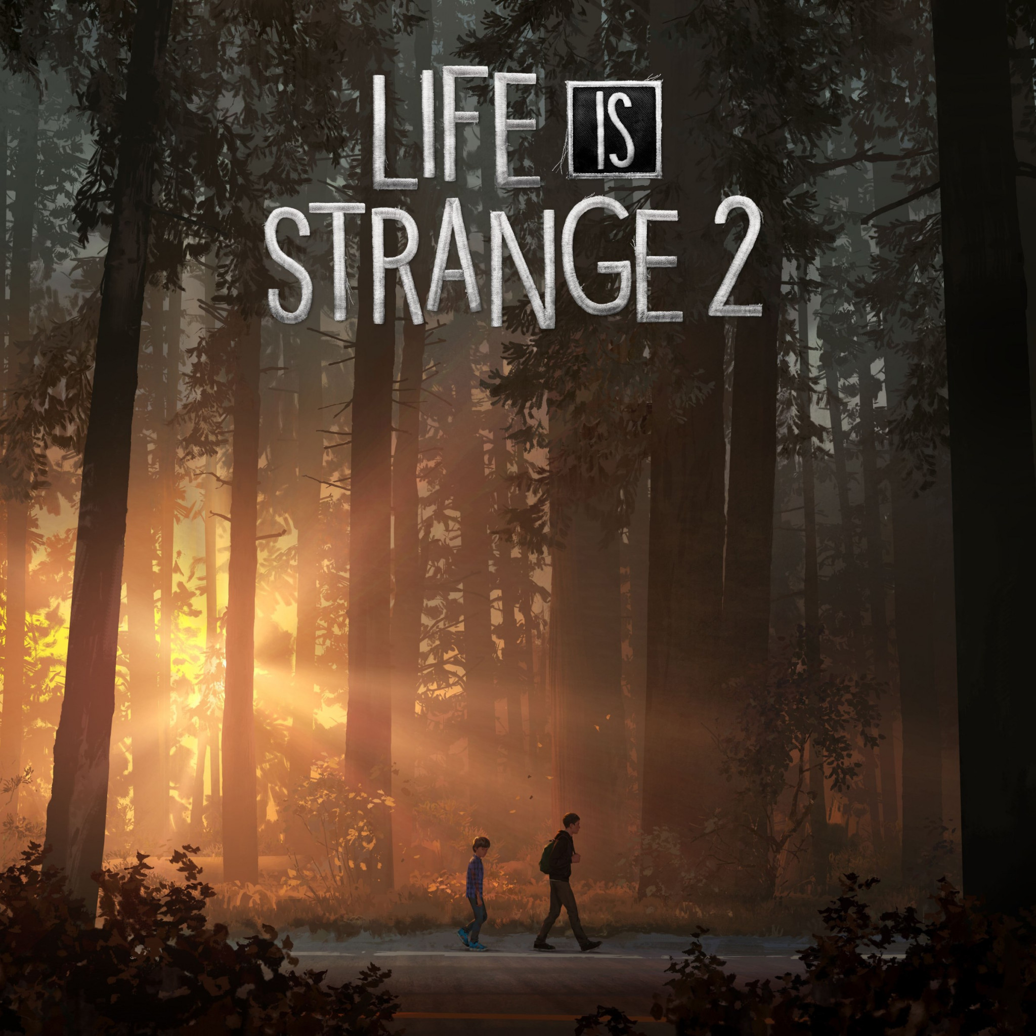 Life Is Strange 2 wallpaper 2048x2048