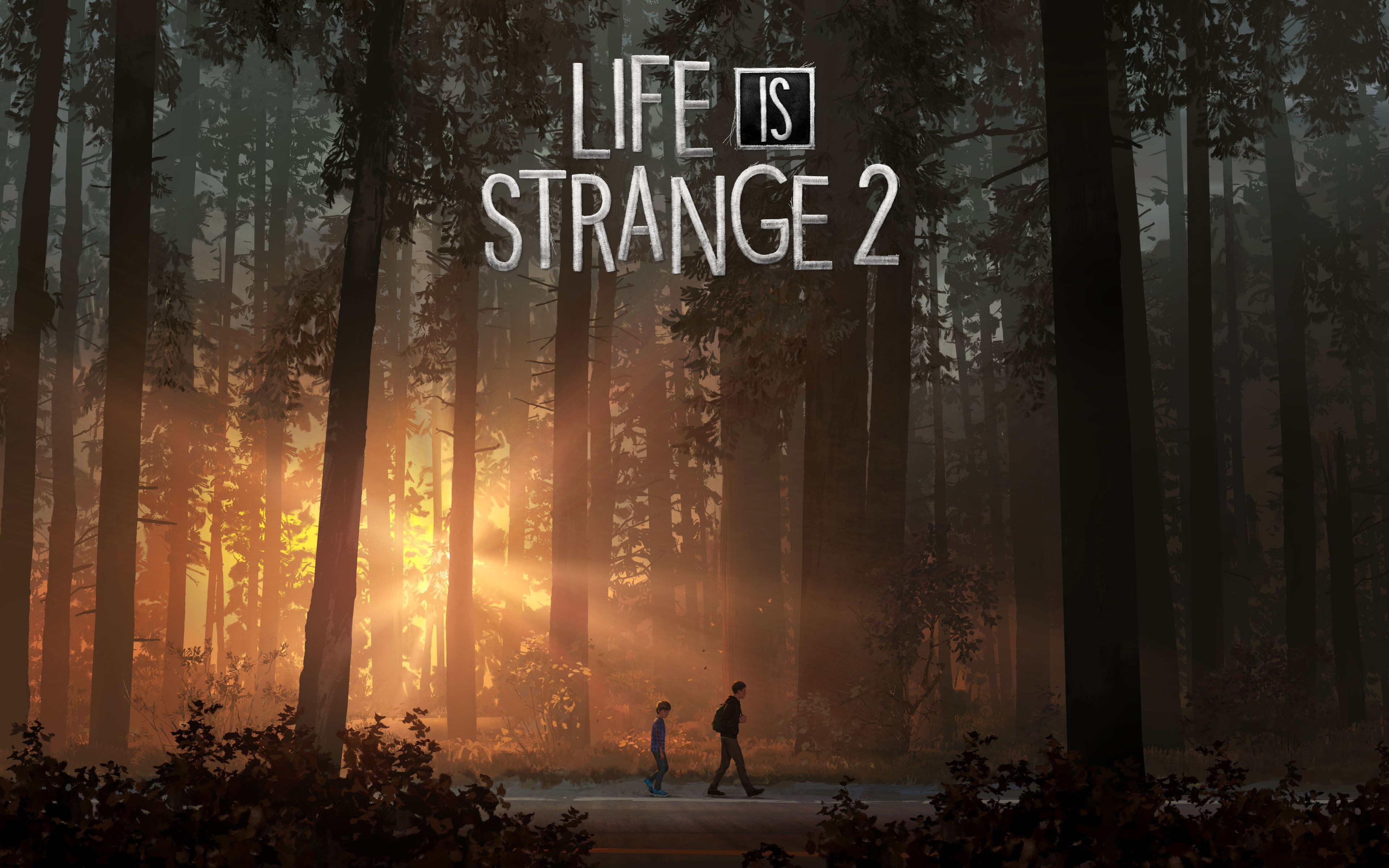 Life Is Strange 2 wallpaper 3840x2400