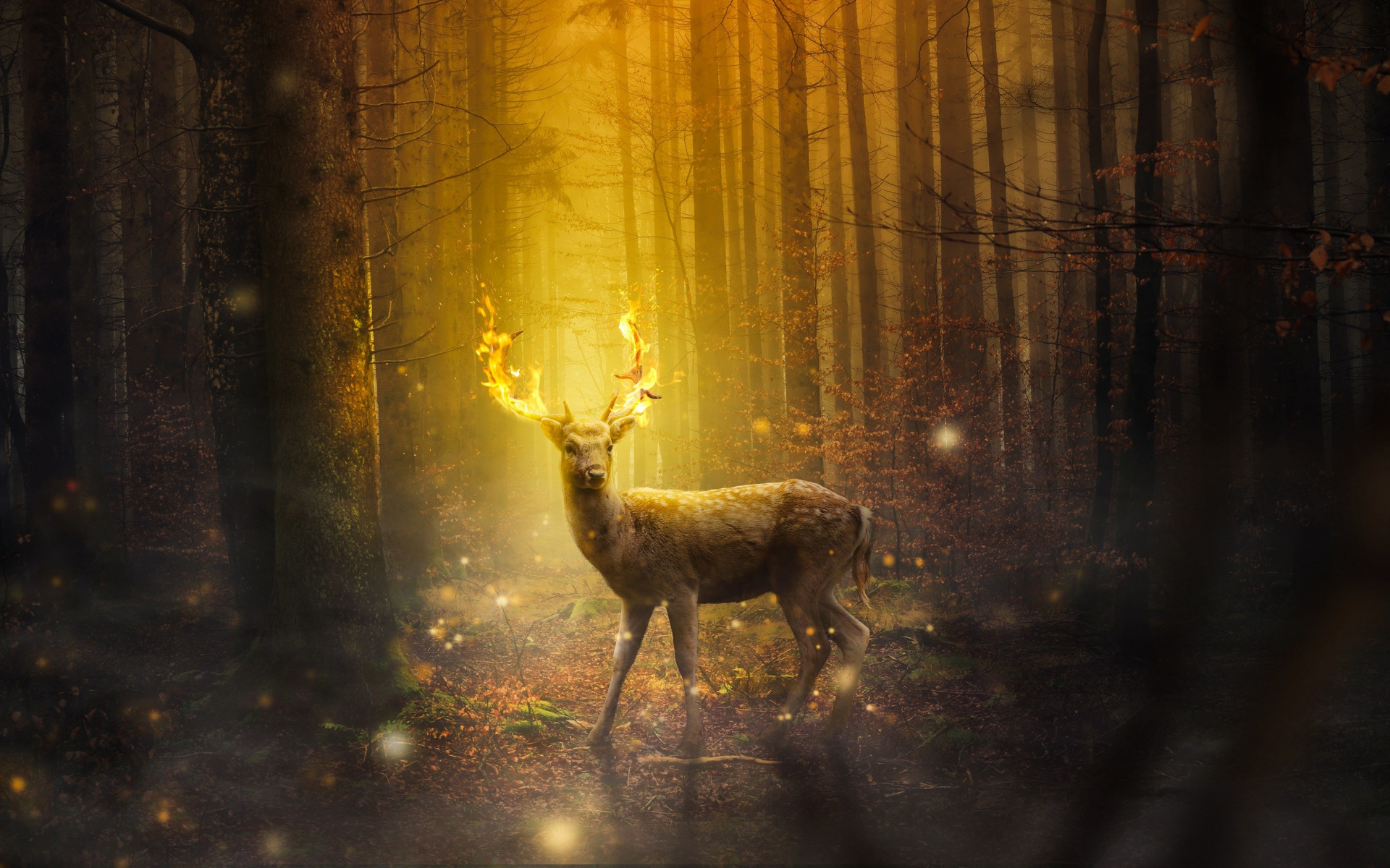 Fantasy, stag, horns, flames wallpaper 1920x1200