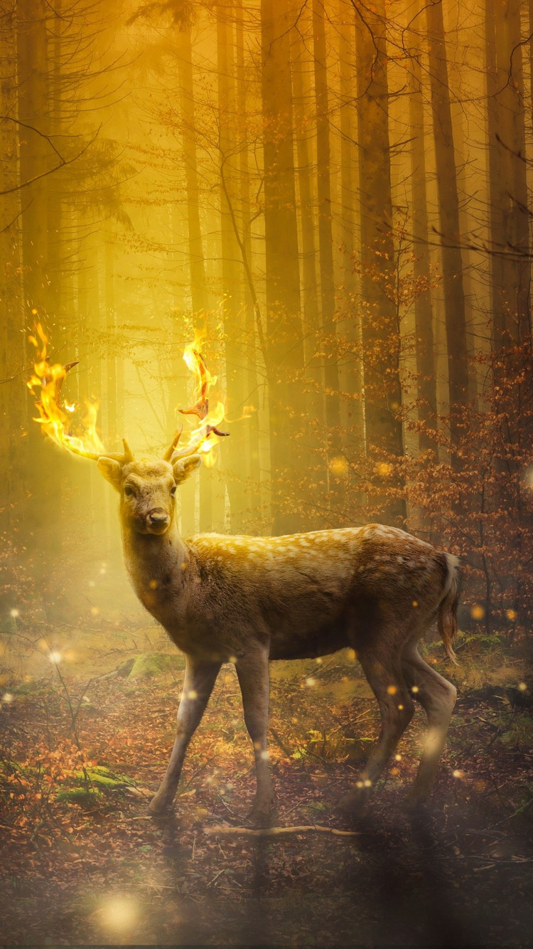 Fantasy, stag, horns, flames wallpaper 750x1334