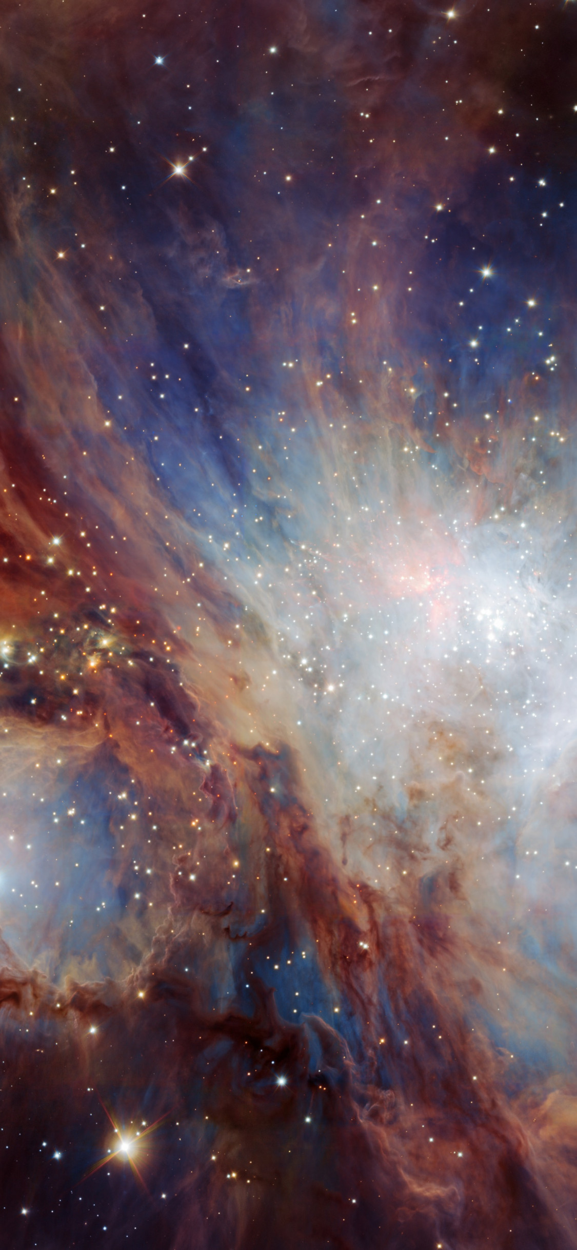 Infrared view of the Orion Nebula wallpaper 1125x2436