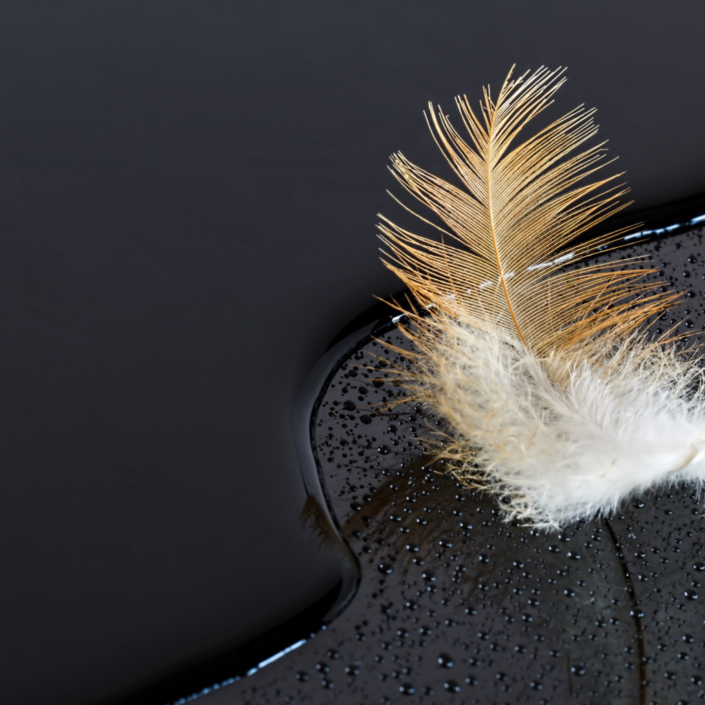 Dark surface with a feather on water wallpaper 1024x1024