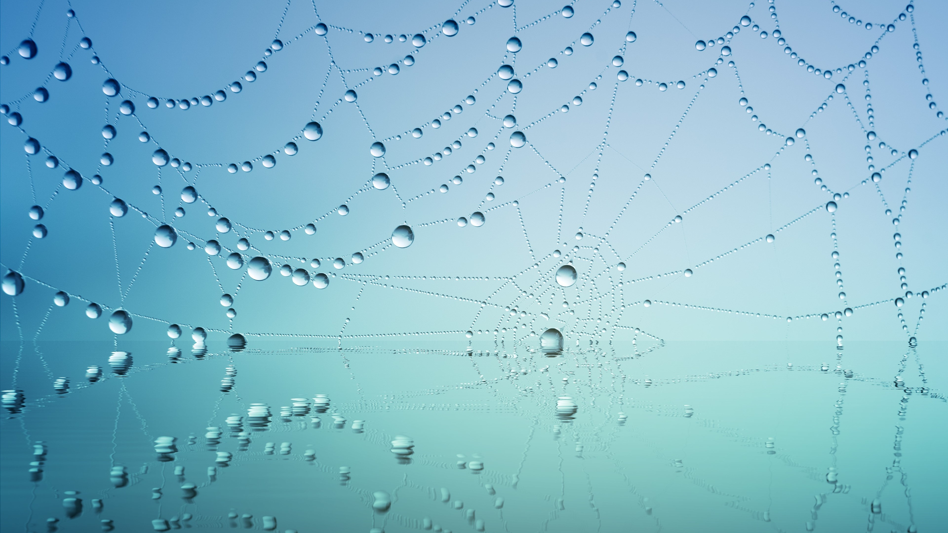 Dew drops on the spider web wallpaper 3840x2160