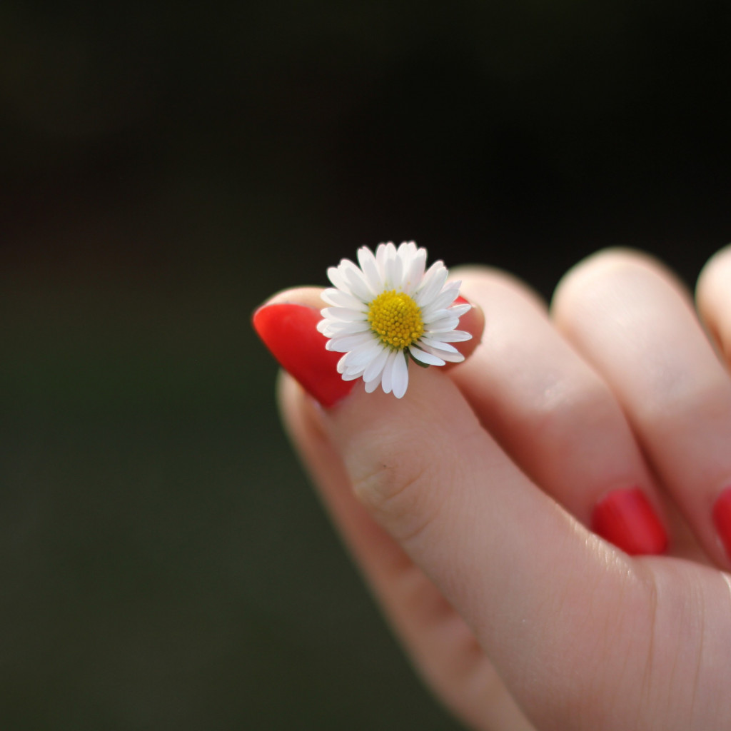 Girl with red nails and a daisy flower wallpaper 1024x1024