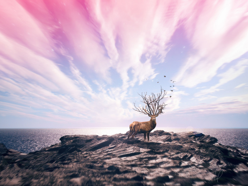Digital art with deer wallpaper 1024x768