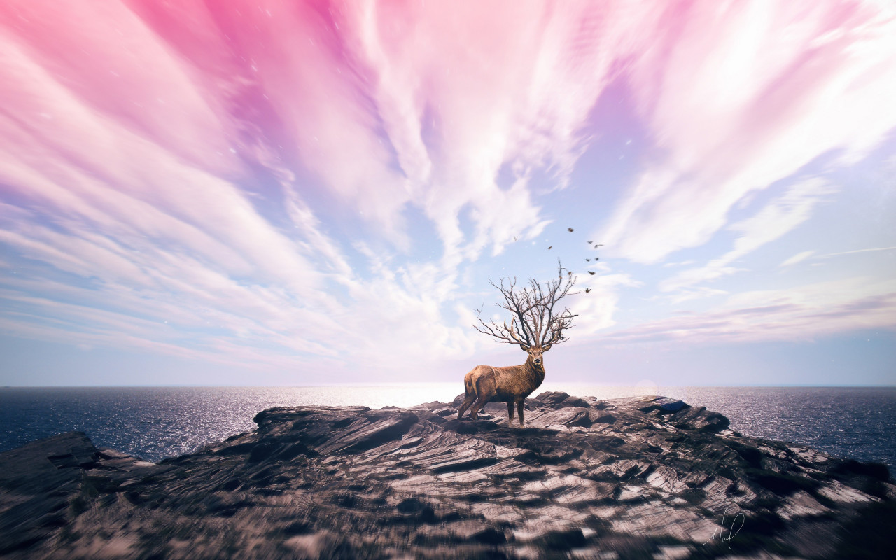 Digital art with deer wallpaper 1280x800