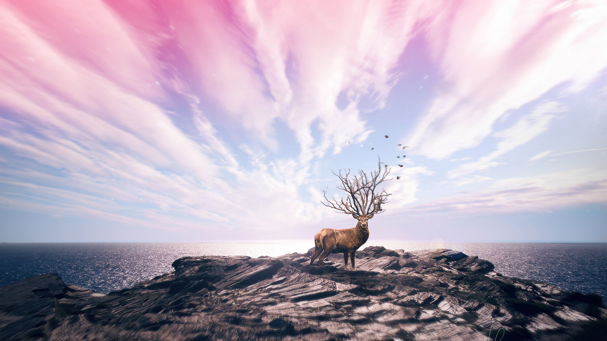 Digital art with deer wallpaper 2560x1440