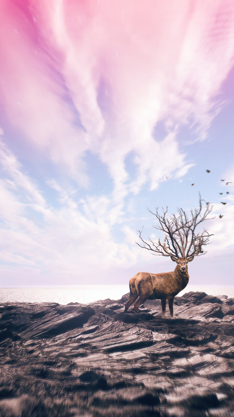 Digital art with deer wallpaper 480x854
