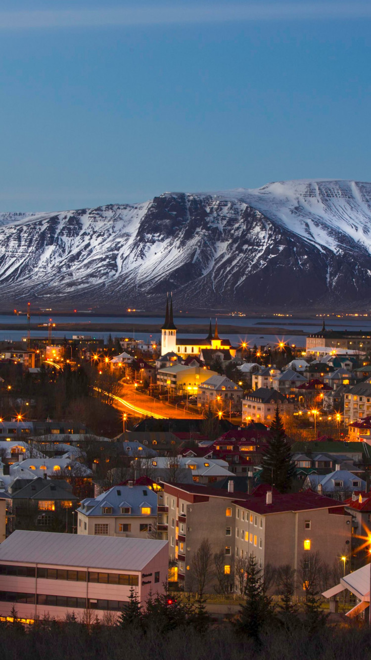 View over the Reykjavik city wallpaper 750x1334